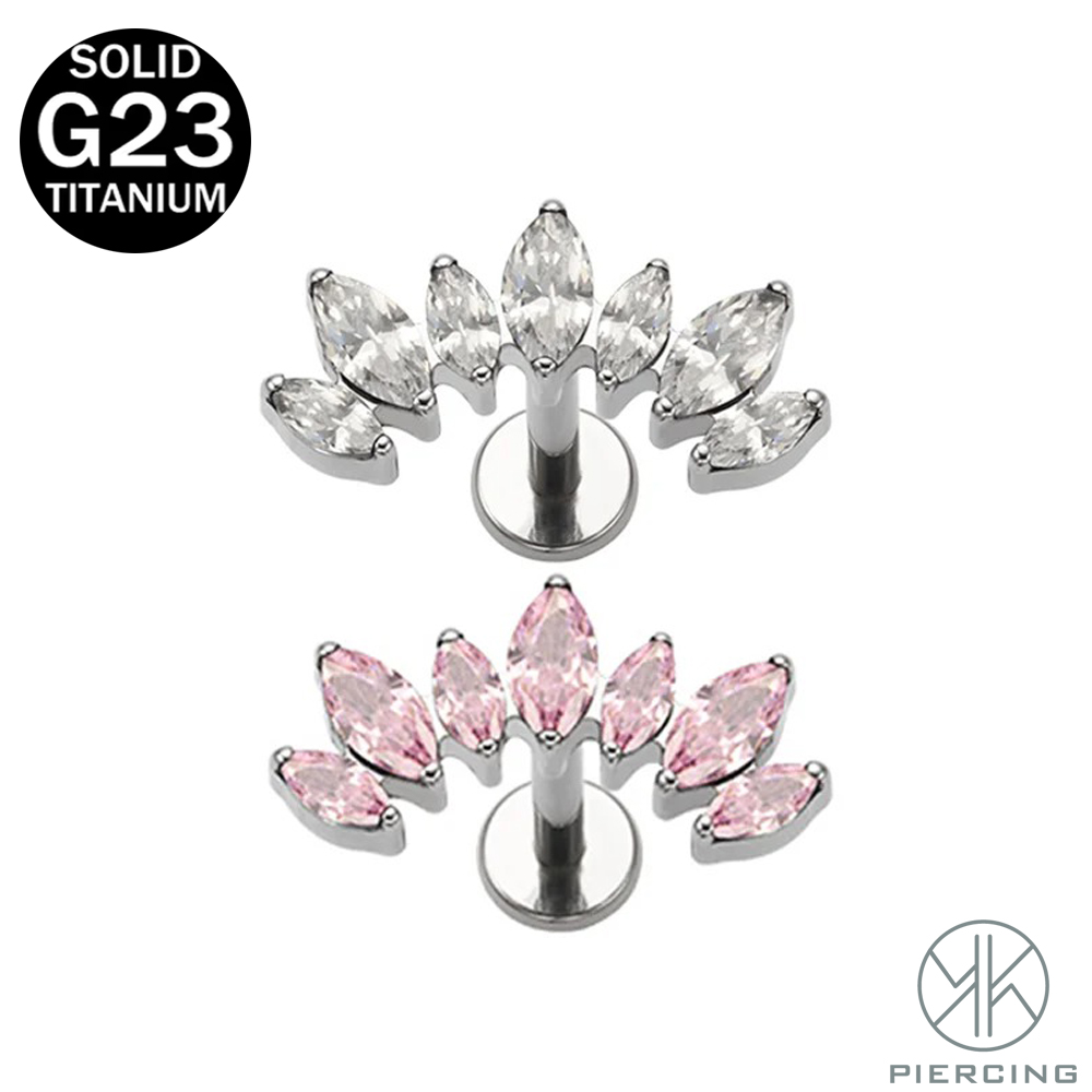 Body Jewelry Brands - 16G 18G F136 티타늄 브랜드 새로운
